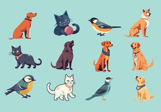 Animals Illustrations Cat, Dog And Bird Flat Illustration Set