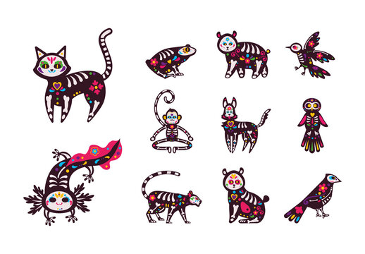 Colorful Mexico Traditional Skeleton Animals Set