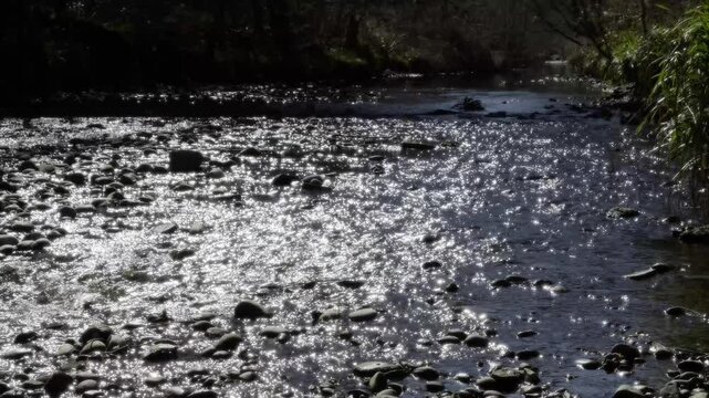 Slow motion sparkling stream.
River Rea in Birmingham. Shot at 120fps.