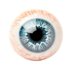 Detailed human blue eye with veins close-up, cut out
