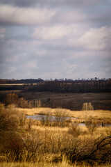 A clearing with a small lake surrounded by tall yellow grass against a blue sky