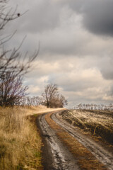 large white thunderclouds with bright sunbeams breaking through them over fields with a dirt road running through them during sunset