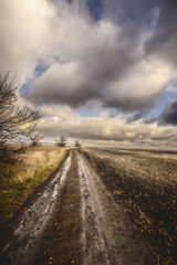 large white thunderclouds with bright sunbeams breaking through them over fields with a dirt road running through them during sunset