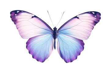 Elegant symmetrical purple and blue butterfly with outstretched wings, cut out