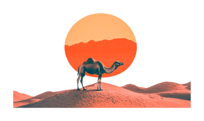 Camel silhouette in desert with sunset and distant mountains, cut out
