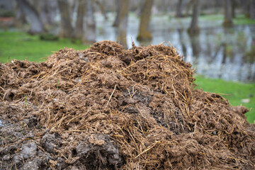 Pile of manure with straw in a rural field near water and farm equipment. Close up of manure heap with straw on green farmland background. Agriculture and rural life concept