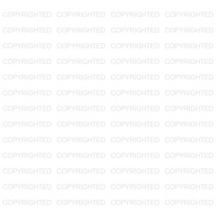 Copyrighted Image watermark on a Transparent Background
