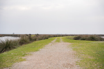 Gravel path through marsh with tall grasses and water under overcast sky. Dirt path leading through a grassy landscape to distant horizon. Rural landscape, wide shot