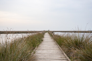 Wooden boardwalk through marsh with tall grasses and water under overcast sky. Wooden path in wetland in Kizilirmak Delta Bird Paradise, Samsun, Turkey