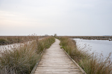 Wooden boardwalk through marsh with tall grasses and water under overcast sky. Wooden path in wetland in Kizilirmak Delta Bird Paradise, Samsun, Turkey