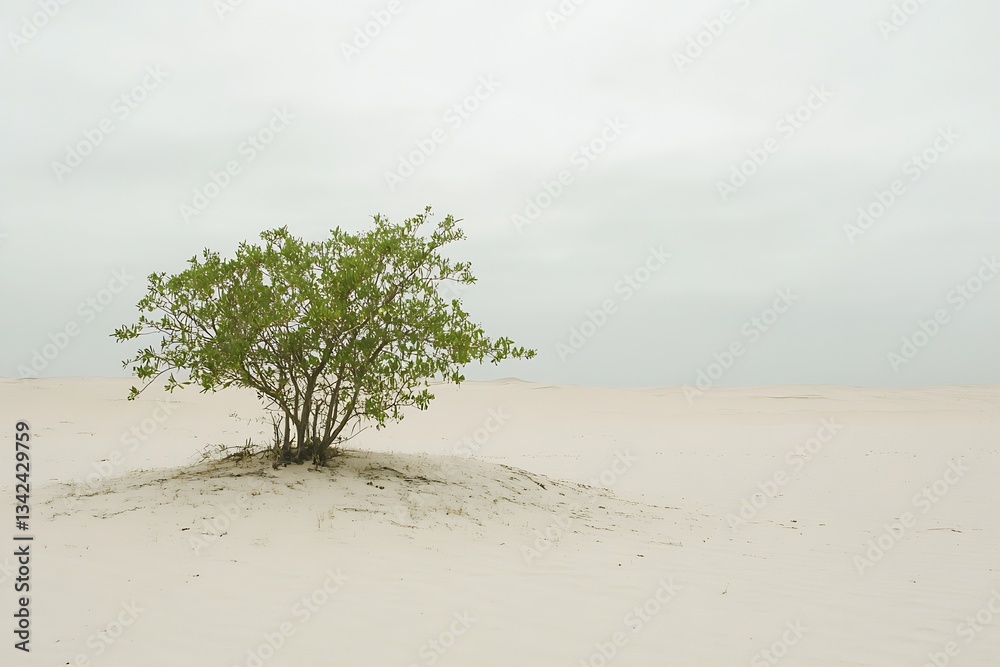 Poster a lush green tree grows on a small mound of sand amidst an expansive desert backdrop : generative ai
