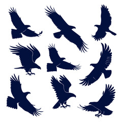 Obraz premium set of birds