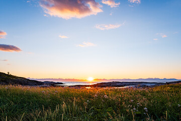Midnight sun over the sea and meadow in the Arctic circle, Nordland County, Norway