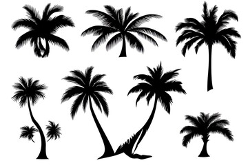 Obraz premium Tropical Palm Silhouette Collection.