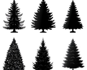 Fototapeta premium Six Christmas tree silhouettes on a white background