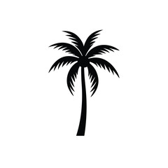 Obraz premium palm tree silhouette vector illustration