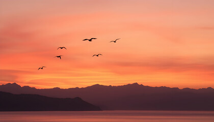 Birds Flying Over Mountains at Sunset Peaceful Nature Scene