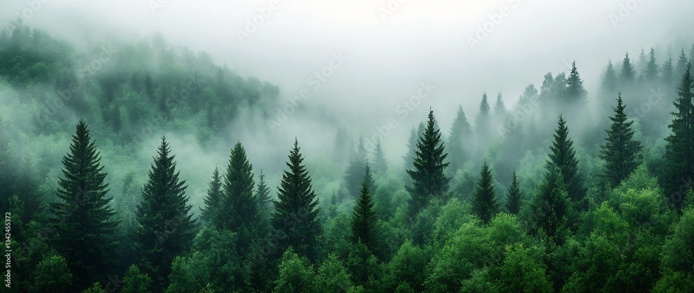 Poster misty enchantment of lush green forests surrounded by gentle fog and dense pine trees : generative a