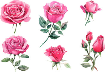 Fototapeta premium bouquet of roses