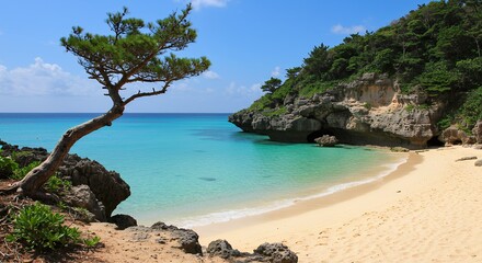 Fototapeta premium Secluded Tropical Beach Cove Turquoise Water Sandy Shore