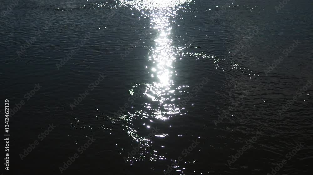 Poster Glimmers dance on the surface of the river as sunlight filters through, creating a serene atmosphere. Gentle waves glide along the peaceful shoreline, inviting tranquility and exploration