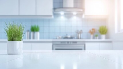 Fototapeta premium Green plant on countertop in kitchen. Modern, clean, bright and spacious. For product presentation