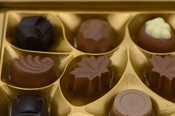 Indulging in a delightful assortment of gourmet chocolates in elegant packaging for an exquisite treat