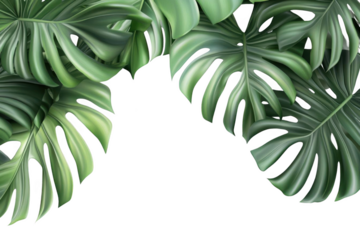 Monstera Leaves Frame.