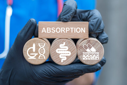 Doctor or nurse holding wooden blocks with icons sees text: ABSORPTION. Mechanism of nutrient absorption through digestive system and stomach. Absorb pills, drugs and antibiotics.