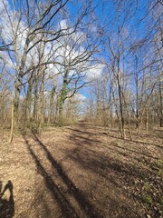 Naturpfad im Plänterwald - Berlin Treptow