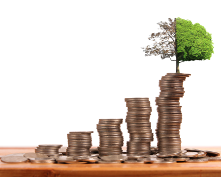 Investment growth strategy financial prosperity infographic business environment close-up view conceptual visualization