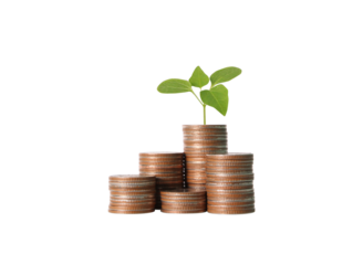 Investing in growth planting financial seeds in a coin stacking landscape business environment conceptual viewpoint
