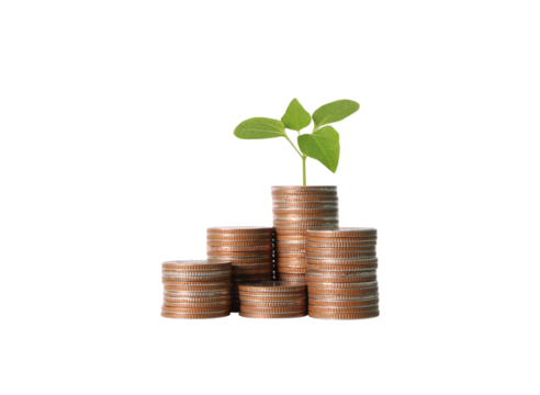 Investing in growth planting financial seeds in a coin stacking landscape business environment conceptual viewpoint