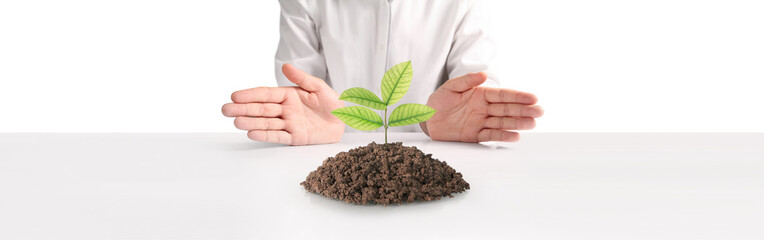 Nurturing growth planting seeds of sustainability indoor environment photograph minimalist viewpoint eco-conscious concept