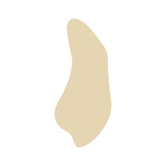 patella lateral colored icon