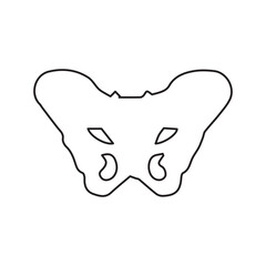 pelvis bone line icon
