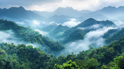 Obraz premium A serene hike through the Amazon rainforest, showcasing vibrant wildlife and greenery 