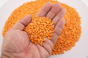 This image captures the rich color and wholesome appeal of red lentils, showcasing the lentils held gently in an open hand. 