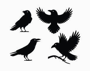 Crow Flying Silhouette Vector Template on a White Background