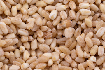 Capture the natural beauty and wholesome appeal of pearl barley with this detailed close-up. 