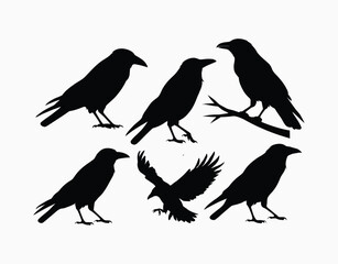 Obraz premium Simple Crow Silhouette EPS Vector Template Illustration