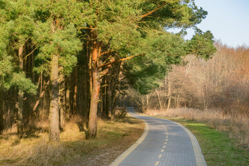 Road for walks in the city park.