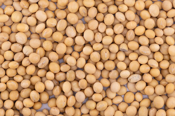 Immerse yourself in the natural beauty of these soybeans, captured in a detailed close-up.