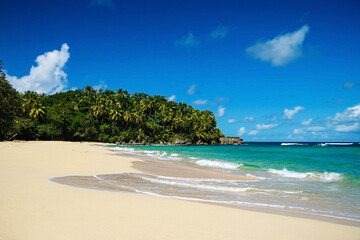 Fototapeta premium Beautiful beach with a blue caribbean sea and palm trees in the background. The coastline is empty and the water is calm. Playa Grande