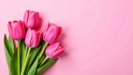 Fototapeta premium Beautiful composition spring flowers. Bouquet of pink tulips flowers on pastel pink background. Valentine's Day, Easter, Birthday, Happy Women's Day, Mother's Day. Flat lay, top view, copy space