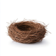 Obraz premium bird nest made of twigs on white background
