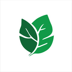 green leaves vector design for icon or logo design