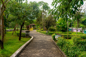 City park path urban wild plant bushes during the day. 