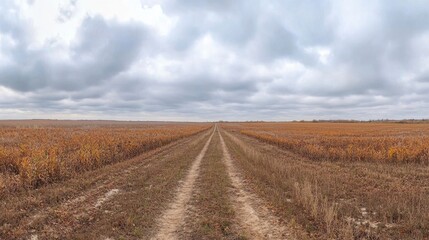 Fototapeta premium Serene Autumn Country Road