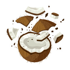 Illustration of broken coconut scattered, isolated on white background.